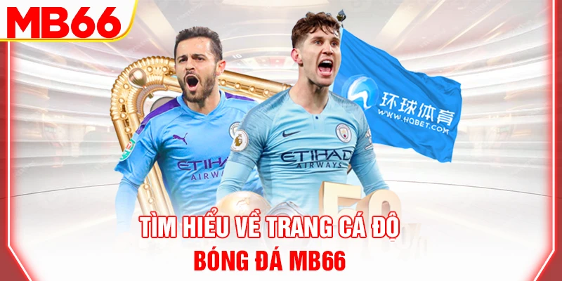 tim-hieu-ve-trang-ca-do-bong-da-mb66