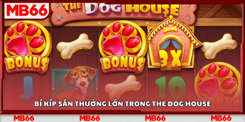 Khám phá bí kíp săn thưởng lớn trong The Dog House