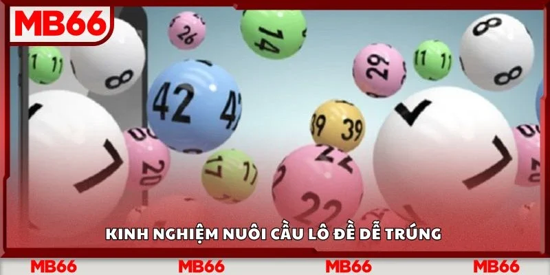 Kinh nghiệm nuôi cầu lô đề dễ trúng 